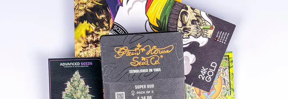 Color Theory for Cannabis Packaging: Designing With Intention, Not Just Aesthetics ROLL Pre Rolls colorful 3 RollPros - Pre Rolling Machine