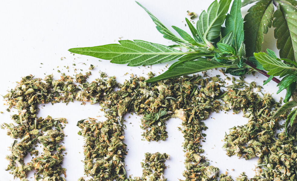 What Is THC? Meaning, Types, Effects, and Differences Explained THC