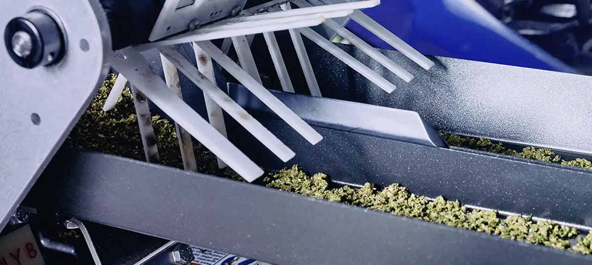 Pre-Roll Machines vs. Hand-Rolled Joints: Which is Better for Your Business? ROLL cannabis rolling 1 RollPros - Pre Rolling Machine