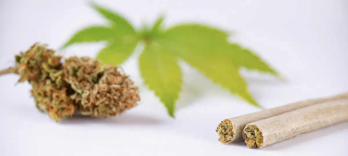 How To Build a Signature Pre-Roll Line ROLL signature pre rolls 1 RollPros - Pre Rolling Machine