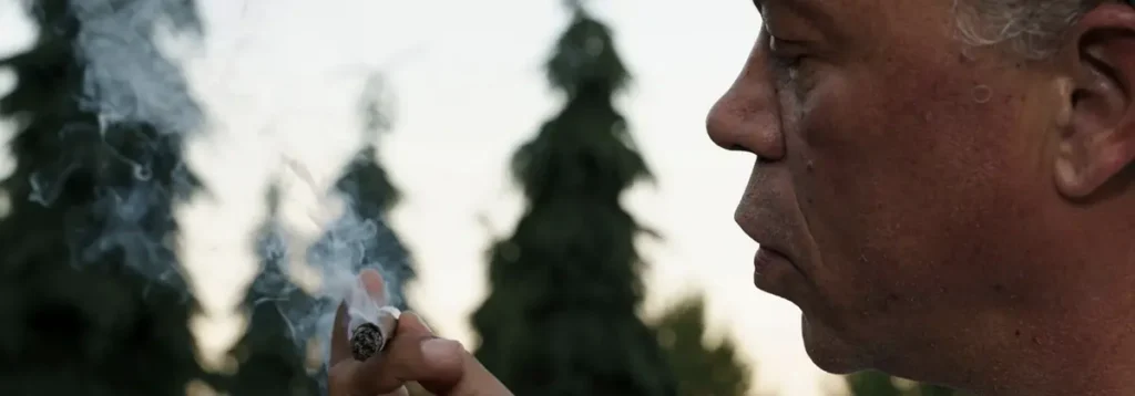 What Is THC? Meaning, Types, Effects, and Differences Explained ROLL smoking man 1 RollPros - Pre Rolling Machine