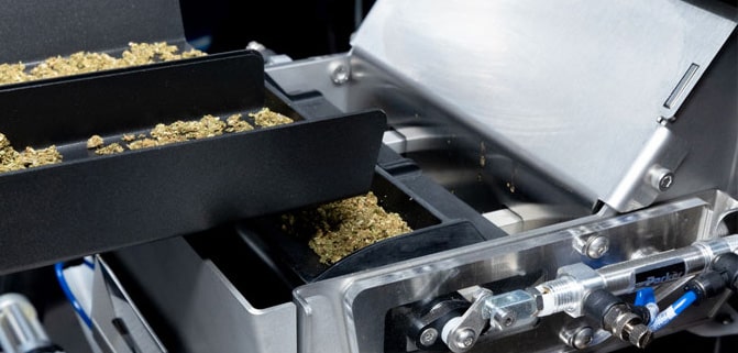 The 5 Biggest Pre-Roll Production Bottlenecks (And Why They're Probably Not Your Machine) Close-up of a precision weighing and dispensing tray on an automated cannabis pre-roll machine, showing ground flower being measured.