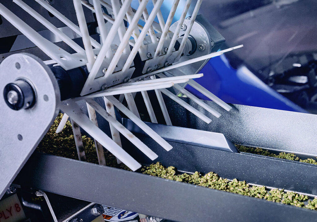 The Convenience of Blunt Rollers: Perfect Rolls with Minimal Effort ROLL Blunt Fans Grind RollPros - Pre Rolling Machine