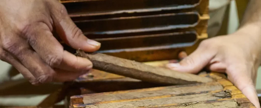 The Convenience of Blunt Rollers: Perfect Rolls with Minimal Effort blunt roller