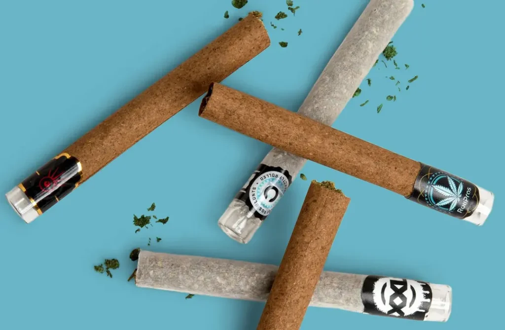 Joints, Blunts, and Spliffs: Understanding the Key Differences Blunts Cannabis