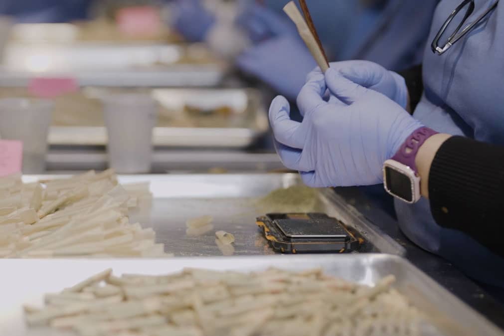 How Pre-Roll Machines Are Revolutionizing Cannabis Production (2026 Guide) manual hand rollers stuffing cone prerolls by hand