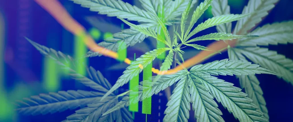 Economic Impact of Automated Pre Roll Systems ROLL Economics Pre Rolls Tech 1 RollPros - Pre Rolling Machine