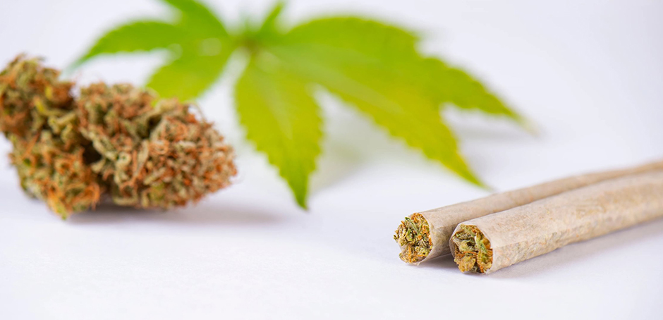 Joints, Blunts, and Spliffs: Understanding the Key Differences rolled joints