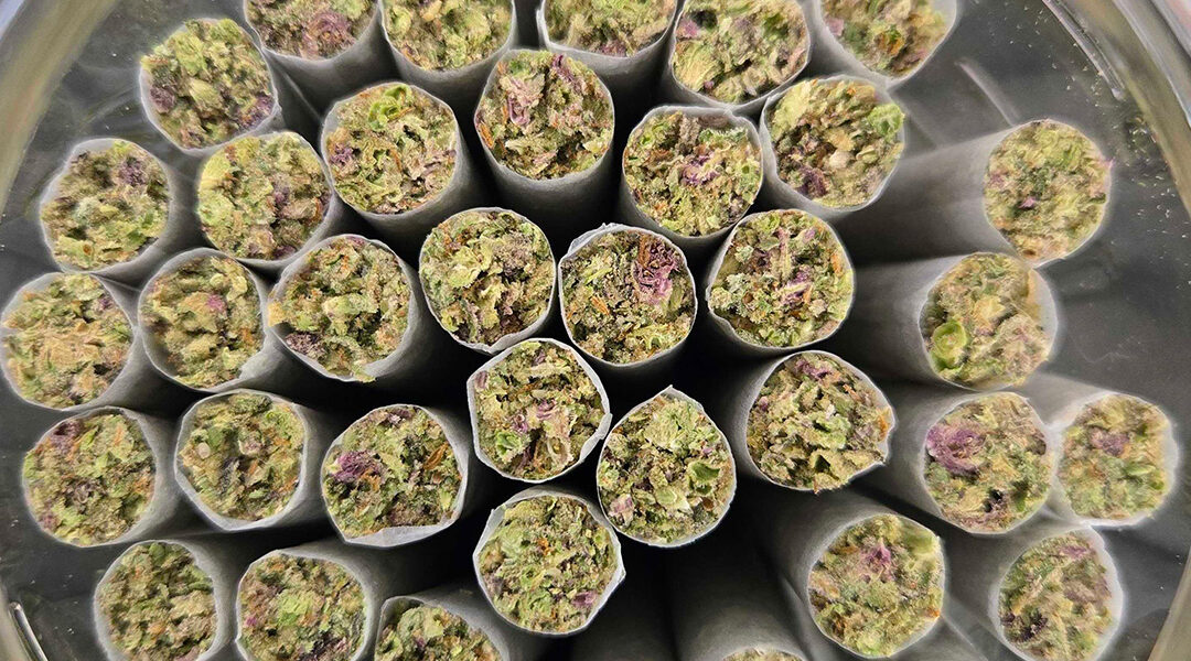 Enhancing Pre-roll Efficiency Tips for Optimizing Your Cannabis Workflow jar of joints