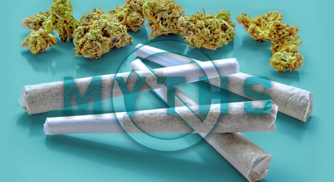 Pre-Roll Myths That Are Slowing Your Production Down Cannabis Myths in Pre-Roll Production
