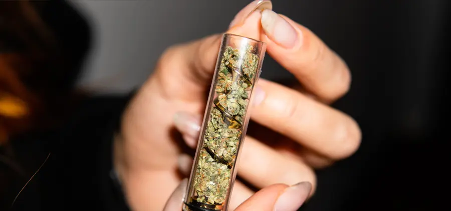 Best Accessories for Weed and Cannabis: Must-Have Gear for Modern Smokers Cannabis Accessories