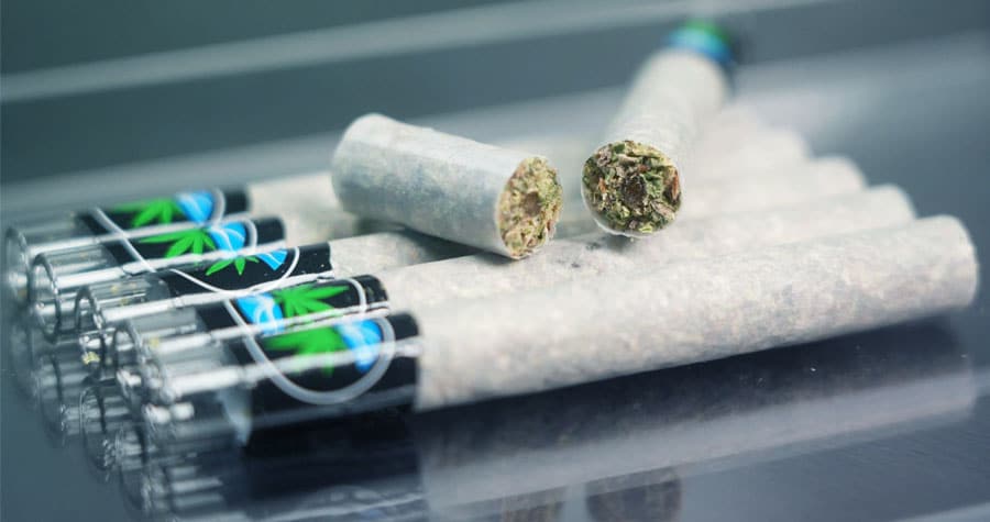 RollPros Unlocks Scalable Hash Hole Production with the Blackbird XXL Rolled Blunts with Hash Hole Center at scale