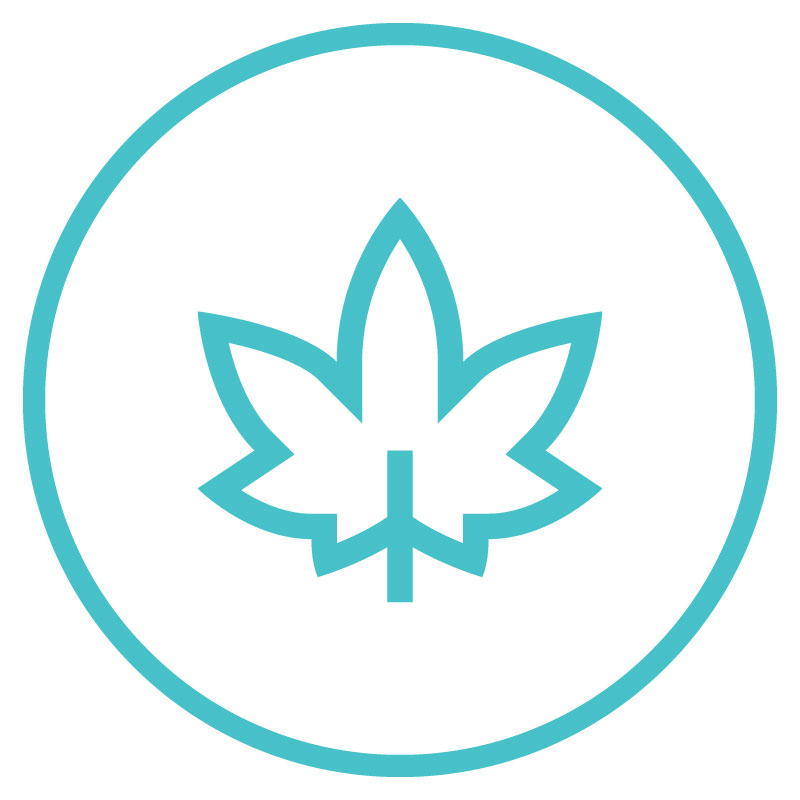 How Much Does It Really Cost to Produce a Pre Roll at Scale Roll flower icon 1 RollPros - Pre Rolling Machine