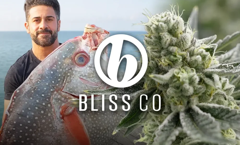ROLL-Bliss-Co-Cannabis-Cover-2 Cannabis Company Bliss Co from Fish to flower