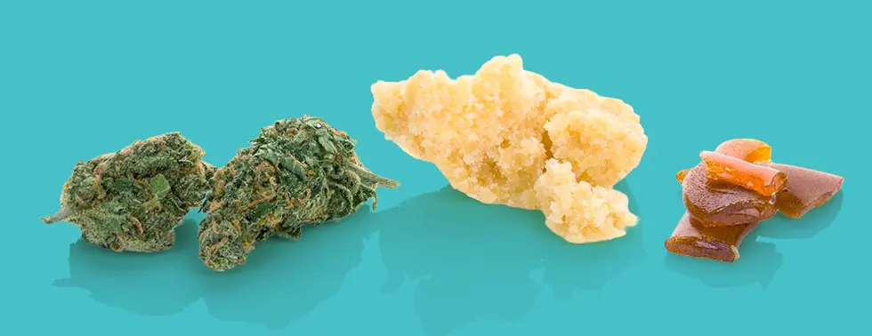 Infused Pre Rolls and the Equipment Required to Produce Them cannabis flower concentrate and wax