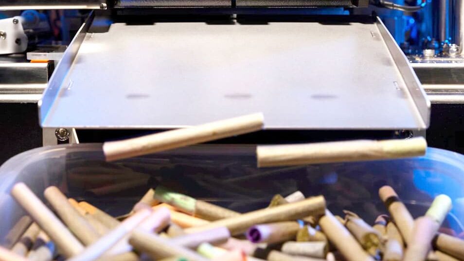 The 5 Biggest Pre-Roll Production Bottlenecks (And Why They're Probably Not Your Machine) cannabis joints rolling out of a BlackBird automated pre-roll machine