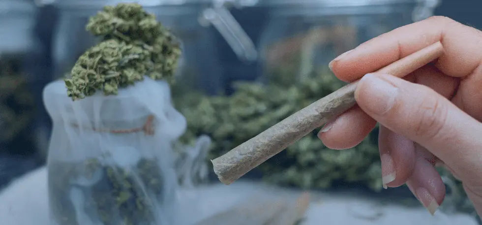 What’s the Difference Between Indica, Sativa, and Hybrid Pre-Rolls? Cone preroll joint with cannabis flower
