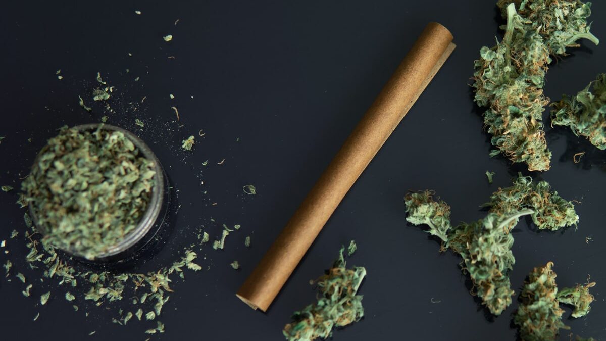 What Is a Cannagar and How Is It Made? Cannabis buds blunt wrap paper and ground flower.