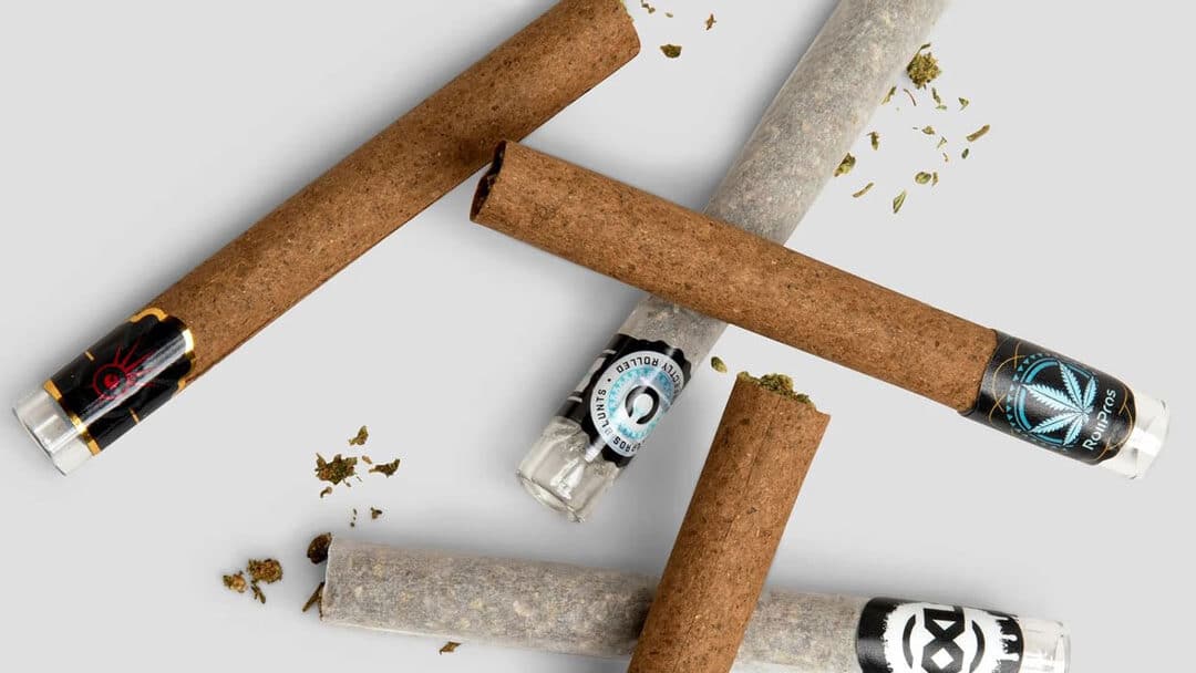 Cannabis Trim vs. Flower in Pre-Rolls: How the Fill Material Affects Quality ROLL Blunts Rollers Cover edited RollPros - Pre Rolling Machine