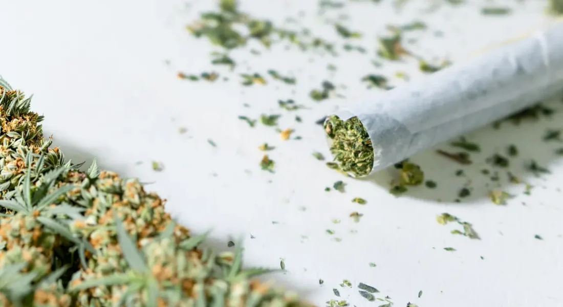 Cannabis Trim vs. Flower in Pre-Rolls: How the Fill Material Affects Quality ROLL Trim Flower 1 RollPros - Pre Rolling Machine