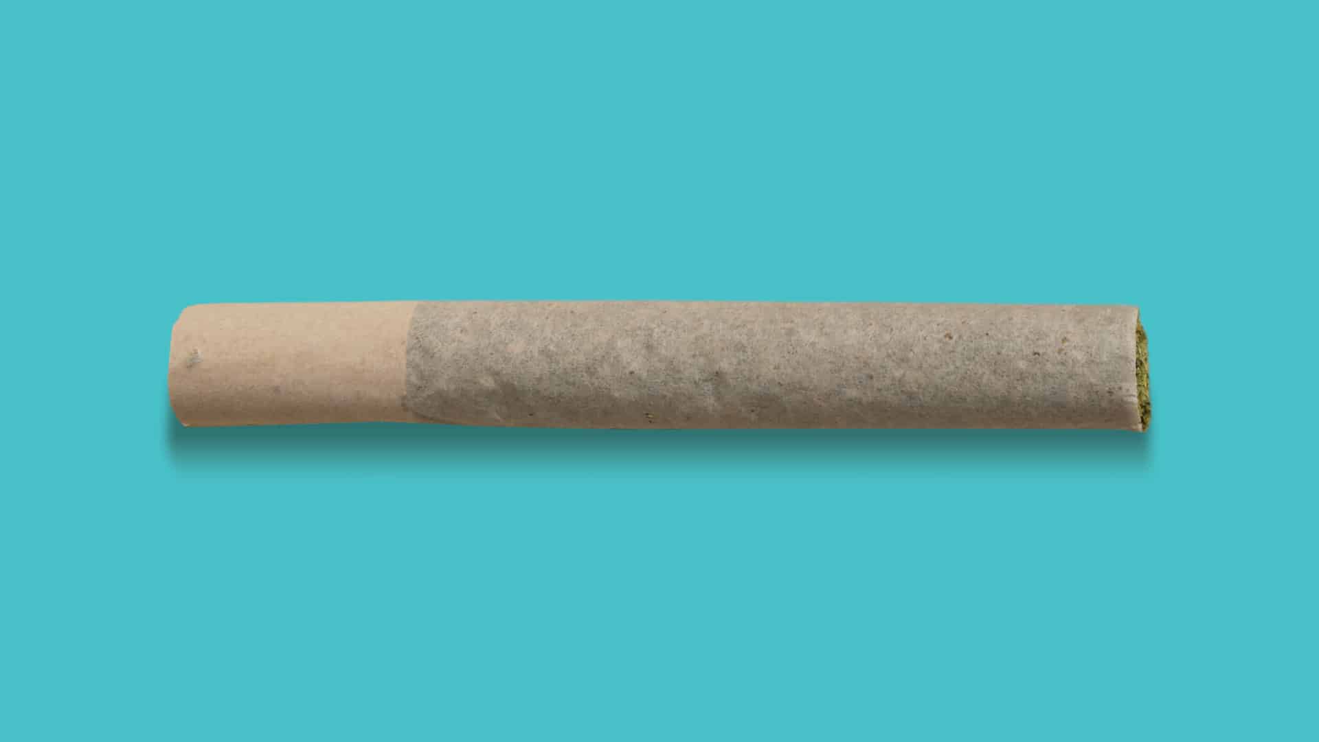 King Size vs. 1g vs. .5g Pre-Rolls: Which Format Sells Best? ROLL Cannabis Joint 1g RollPros - Pre Rolling Machine
