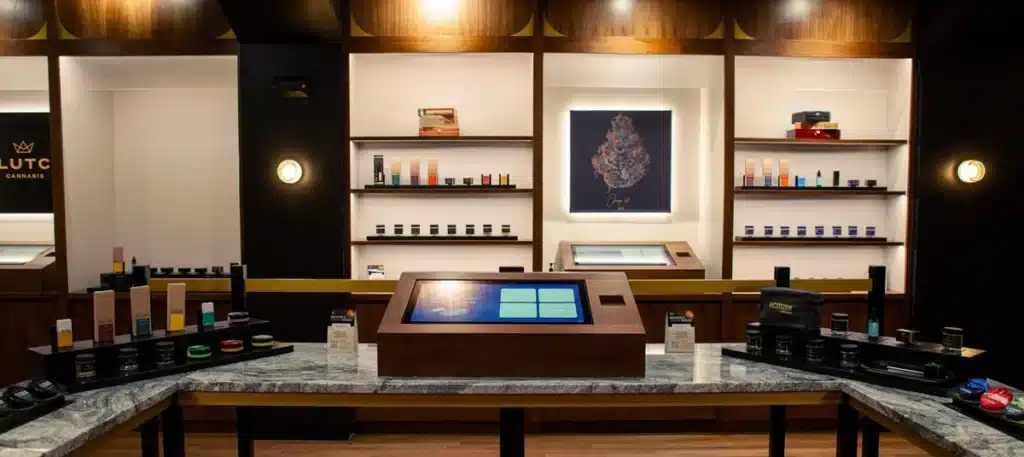 What’s the Difference Between Recreational and Medical Dispensary? premium cannabis dispensary store