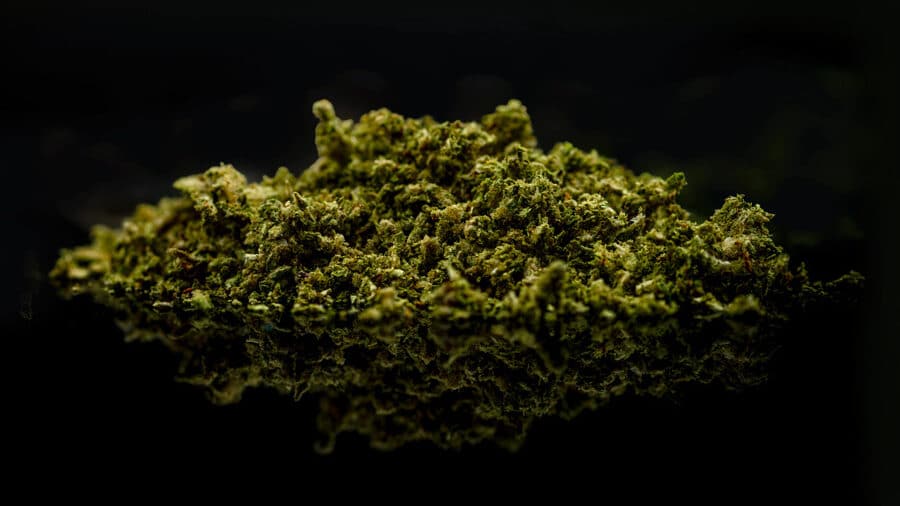 The Best Commercial Cannabis Grinders for Pre-Rolls (2026 Buyer’s Guide) ROLL Flower Grind sm edited RollPros - Pre Rolling Machine