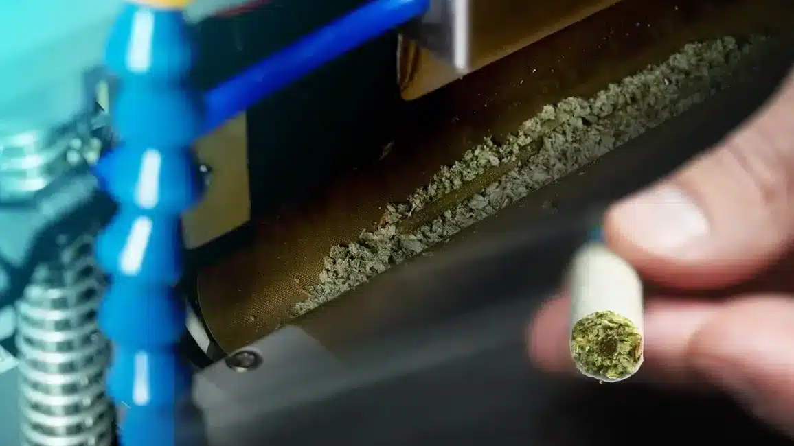 What Are Infused Pre Rolls and Why Are They Gaining Popularity? Hash Hole Blunt Rolled with a Blackbird XXL