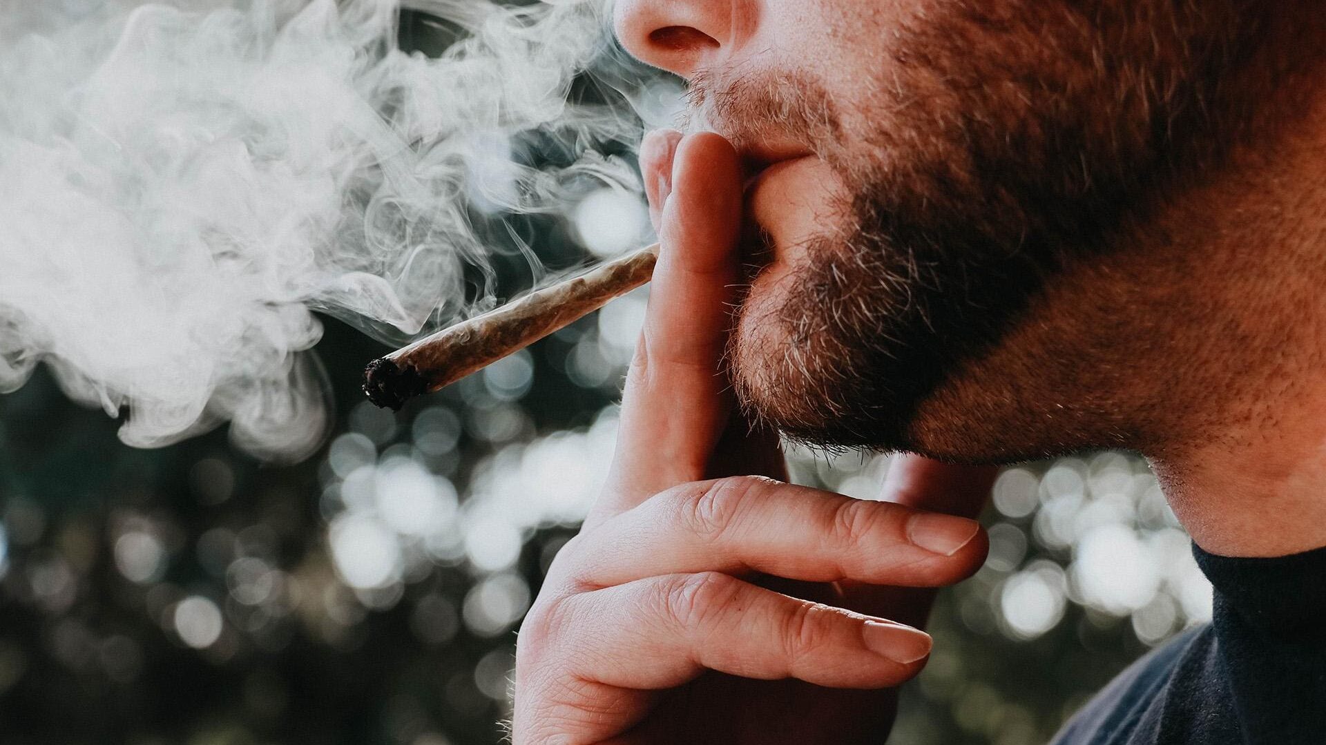 How Pre-Roll Quality Drives Customer Loyalty in Cannabis The Current State of the Pre-Roll Joint