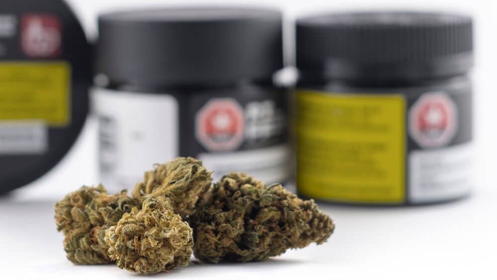 The World Map of Cannabis: Legalization, Decriminalization, and Prohibition cannabis legalization label warning