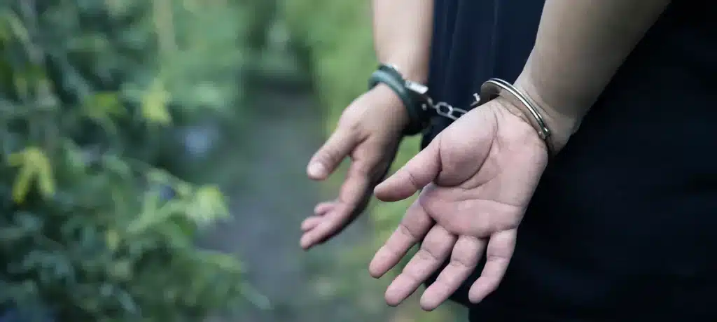 Is Weed Legal in Florida? Marijuana Laws Explained (2026) Man in handcuffs at weed plantation