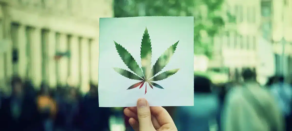 Is Weed Legal in Florida? Marijuana Laws Explained (2026) cannabis leaf cutout in a busy city