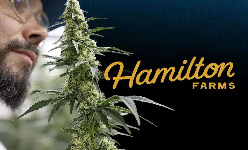 Hamilton Farms Cannabis
